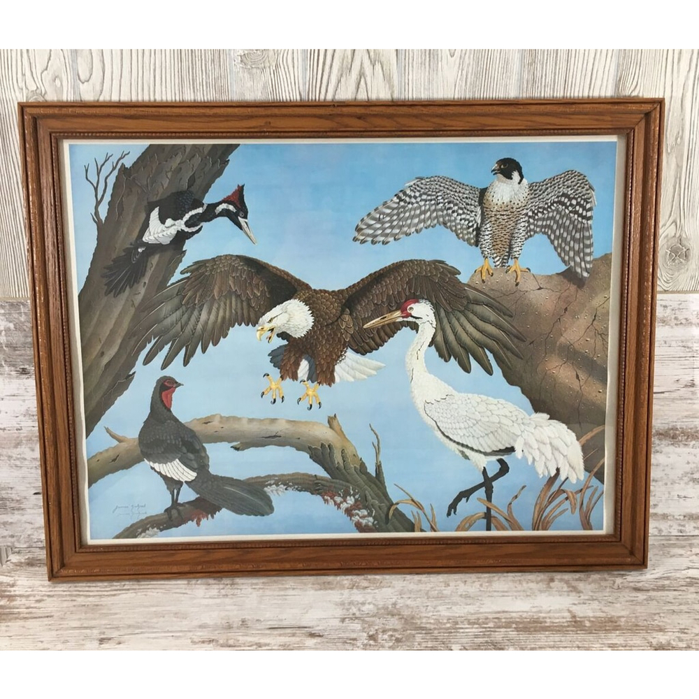 James Kukrul Wildlife Print Signed & Framed Eagle Crane Woodpecker 22x27 - Picture 3 of 16